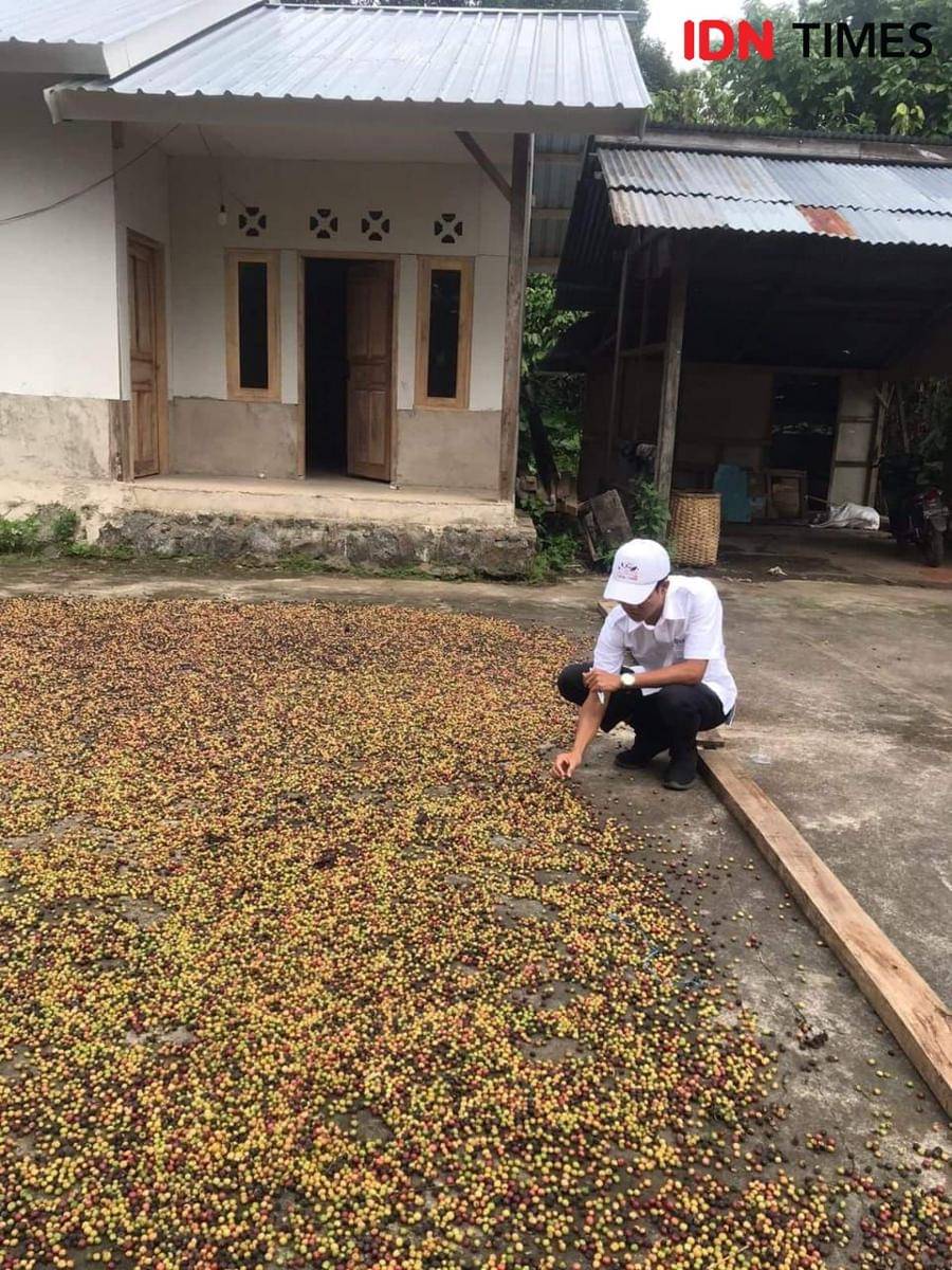 Produk kopi robusta petani di Lombok Utara yang akan diekspor ke Korea Selatan. (Dok. Dinas Perdagangan NTB)