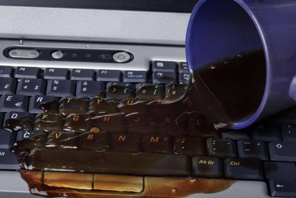 potret foto yang bikin geregetan (reddit.com/user/charguyblue)