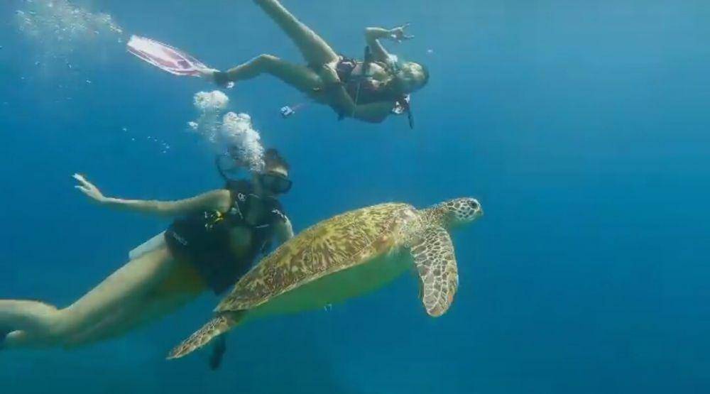 potret Erika Carilna olahraga menyelam (instagram.com/eri.carl)