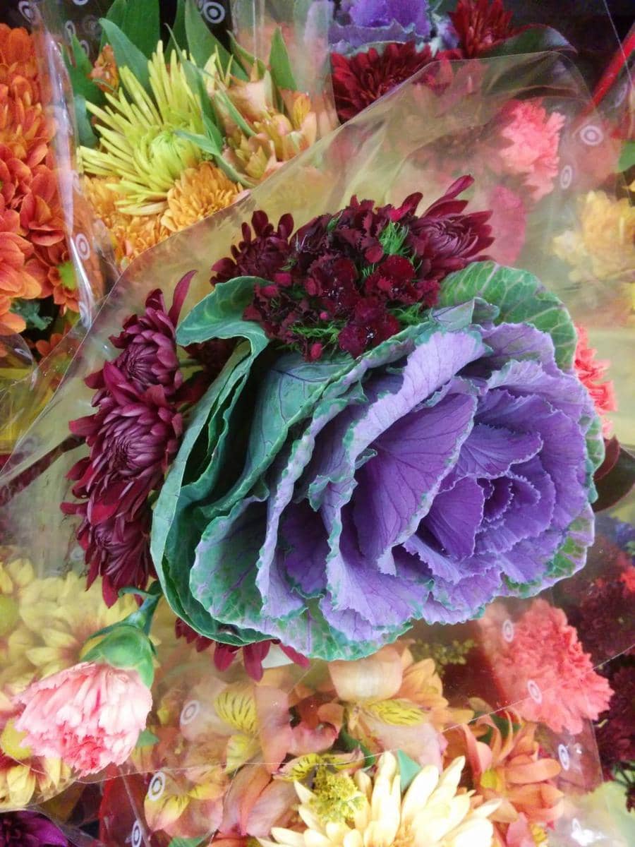 potret foto yang bikin geregetan (reddit.com/user/sharts_and_gargles)