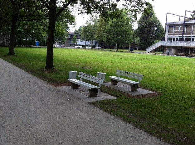 potret foto yang bikin geregetan (imgur.com/user/TheCouncilofRicks)