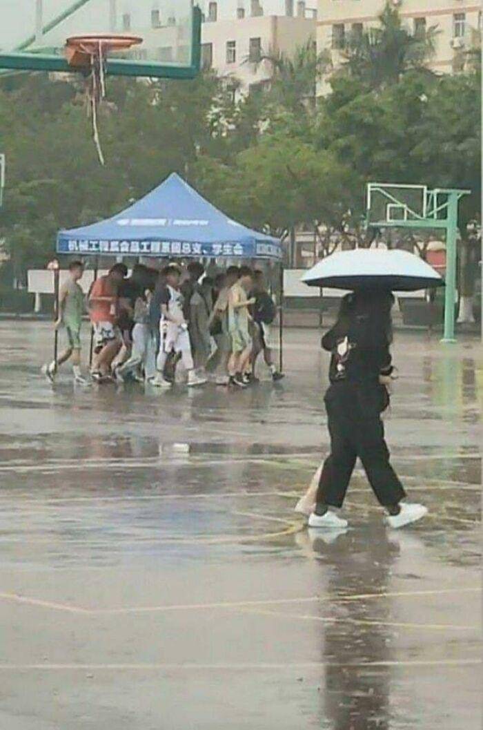 Momen 'entah apa yang sedang terjadi'. (facebook.com/Kolton Hobbs)