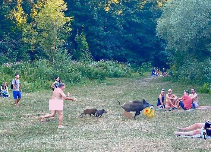 Momen 'entah apa yang sedang terjadi'. (facebook.com/Katie Chpmnk Hulbert)