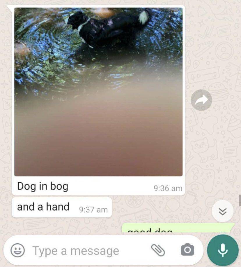 chat lucu generasi boomer (twitter.com/wholesumboomers)