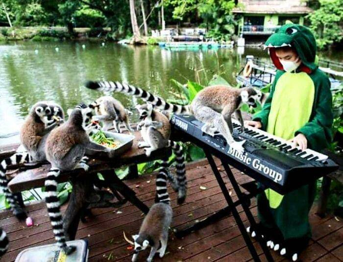 Momen 'entah apa yang sedang terjadi'. (facebook.com/Ang D. Meadows)