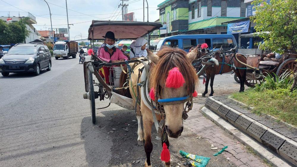Cerita Kusir Delman di Lamongan, Bertahan Melestarikan Budaya