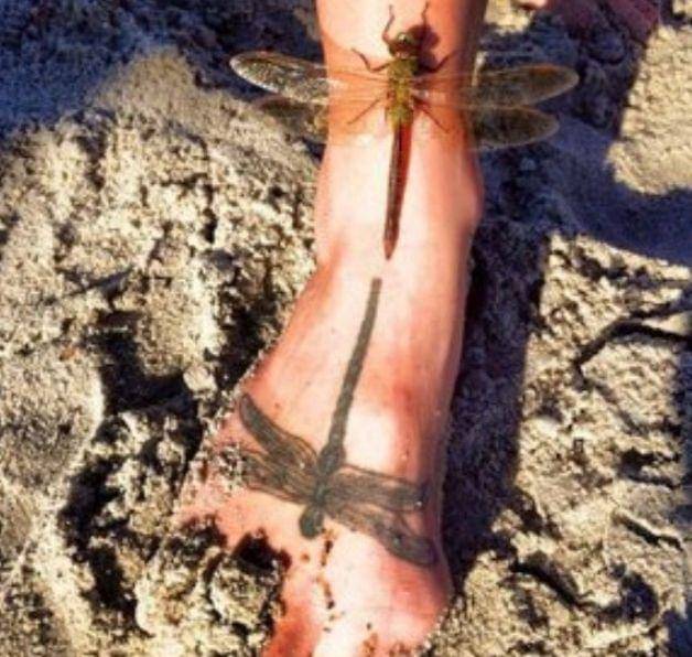 foto dengan sudut pandang yang tepat (boredpanda.com)