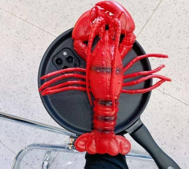 casing Hp (tokopedia.com)