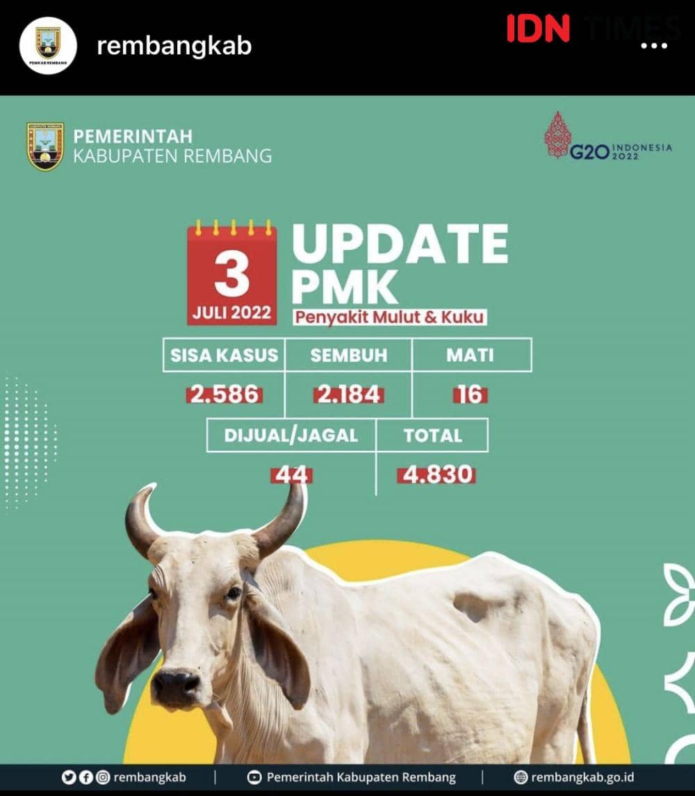 Data kasus PMK di Kabupaten Rembang. (Instagram.com/rembangkab)