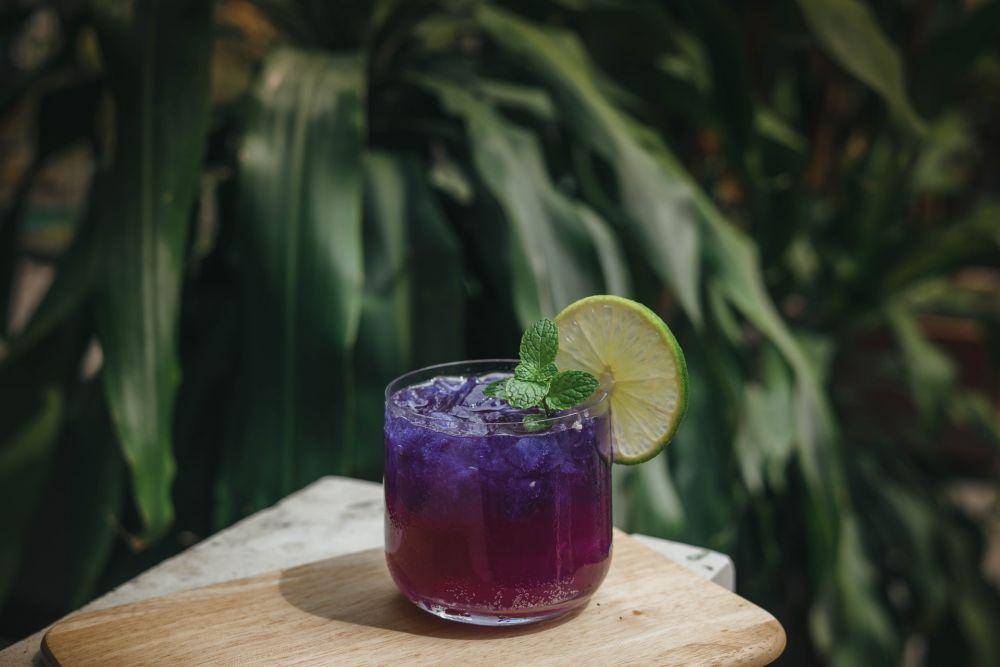 ilustrasi blueberry spritzer (unsplash.com/Chinh Le Duc)
