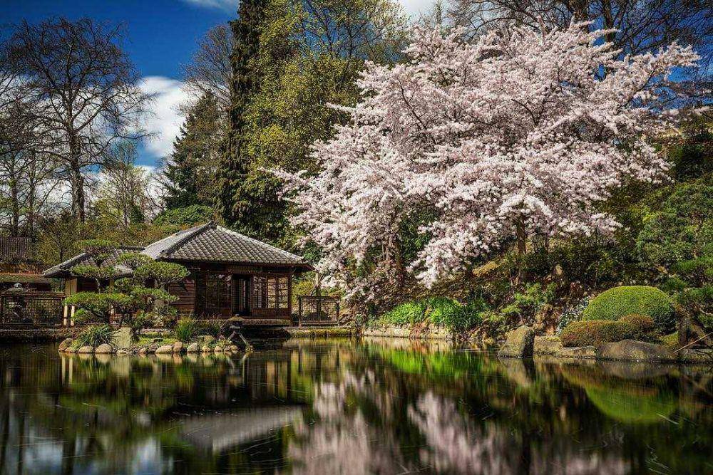 Japanischer Garten (instagram.com/neolionheart)
