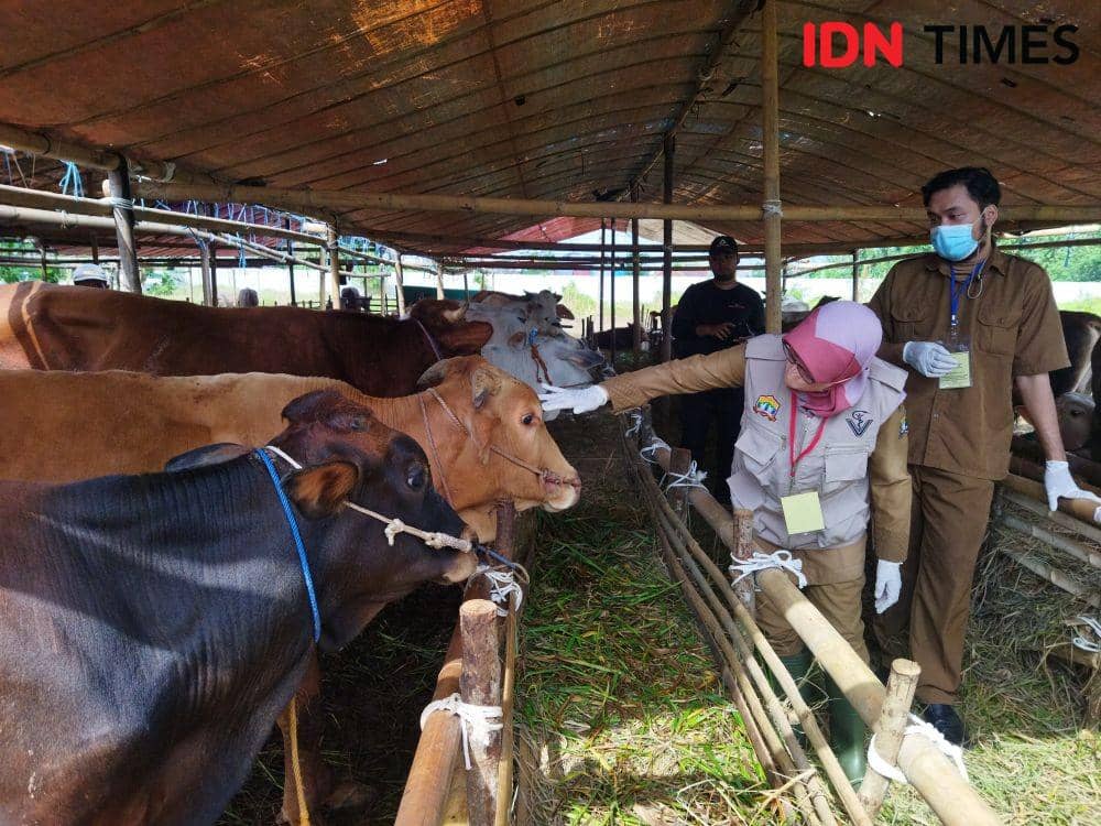 IDN Times/Khaerul Anwar
