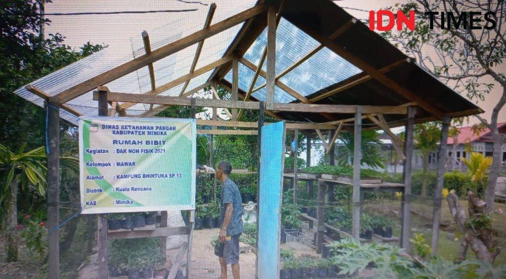 Seorang warga saat berada di tempat persemaian bibit tumbuhan jangka pendek Ricky Lodar/ IDN Times