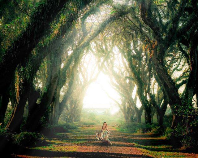 5 Wisata Hutan di Jawa Timur, Ada yang Terkenal Angker!