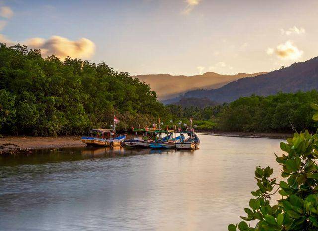gambar hutan mangrove Pancer Cengkrong (instagram.com/mazkebo_nagano)