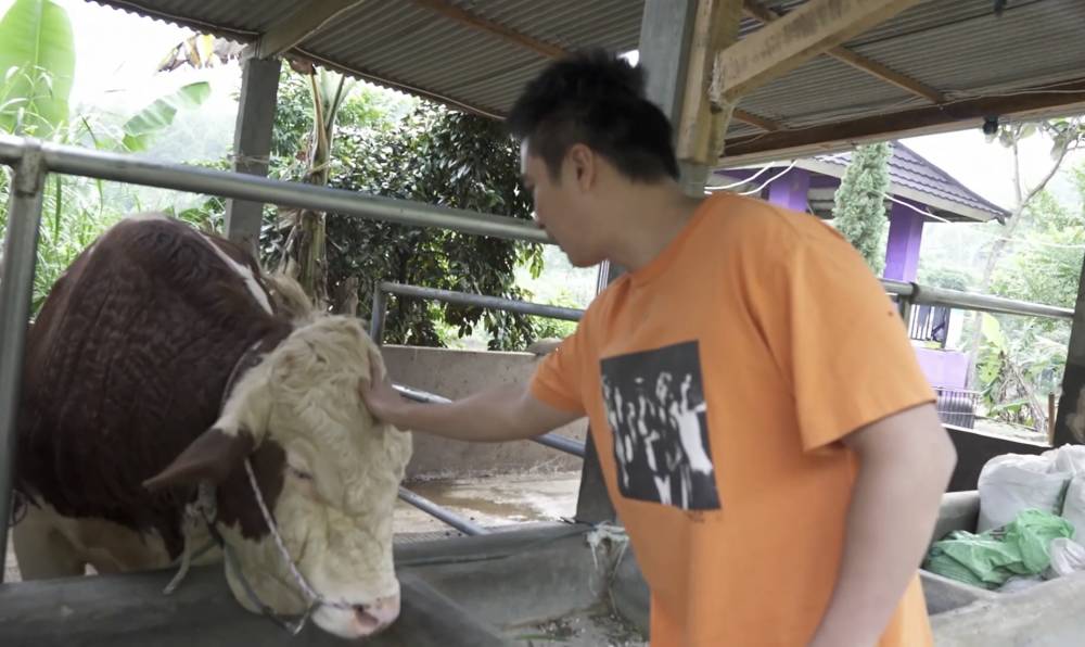 momen Baim Wong beli sapi kurban sampai ke Bandung (youtube.com/BaimPaula)