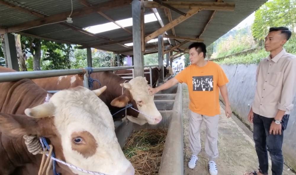 momen Baim Wong beli sapi kurban sampai ke Bandung (youtube.com/BaimPaula)