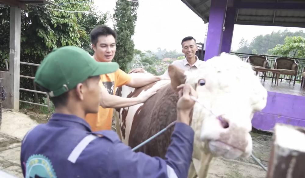 momen Baim Wong beli sapi kurban sampai ke Bandung (youtube.com/BaimPaula)