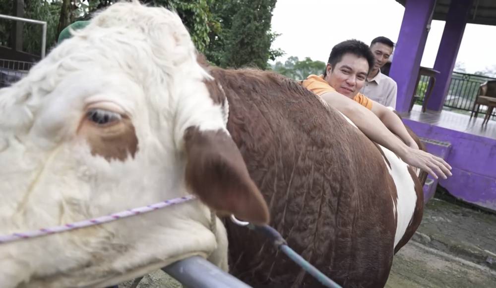 momen Baim Wong beli sapi kurban sampai ke Bandung (youtube.com/BaimPaula)