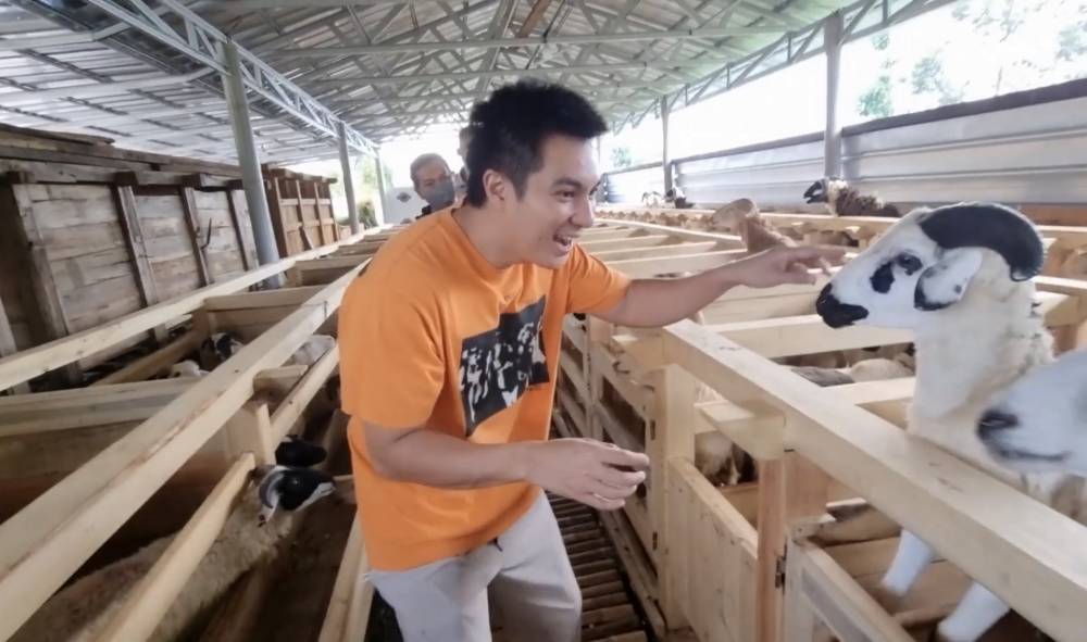momen Baim Wong beli sapi kurban sampai ke Bandung (youtube.com/BaimPaula)