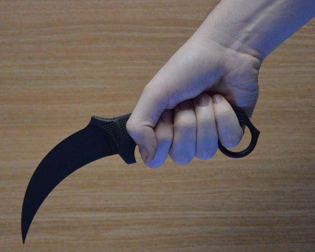 potret karambit (commons.wikimedia.org/Mod Michael)