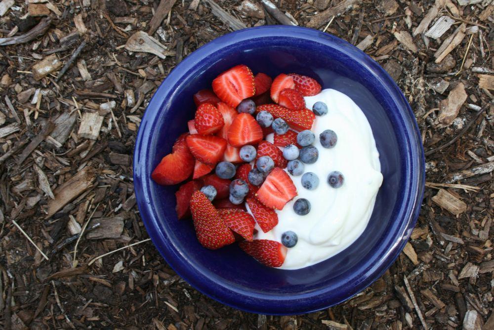 ilustrasi yogurt buah (unsplash.com/Philip Larking)