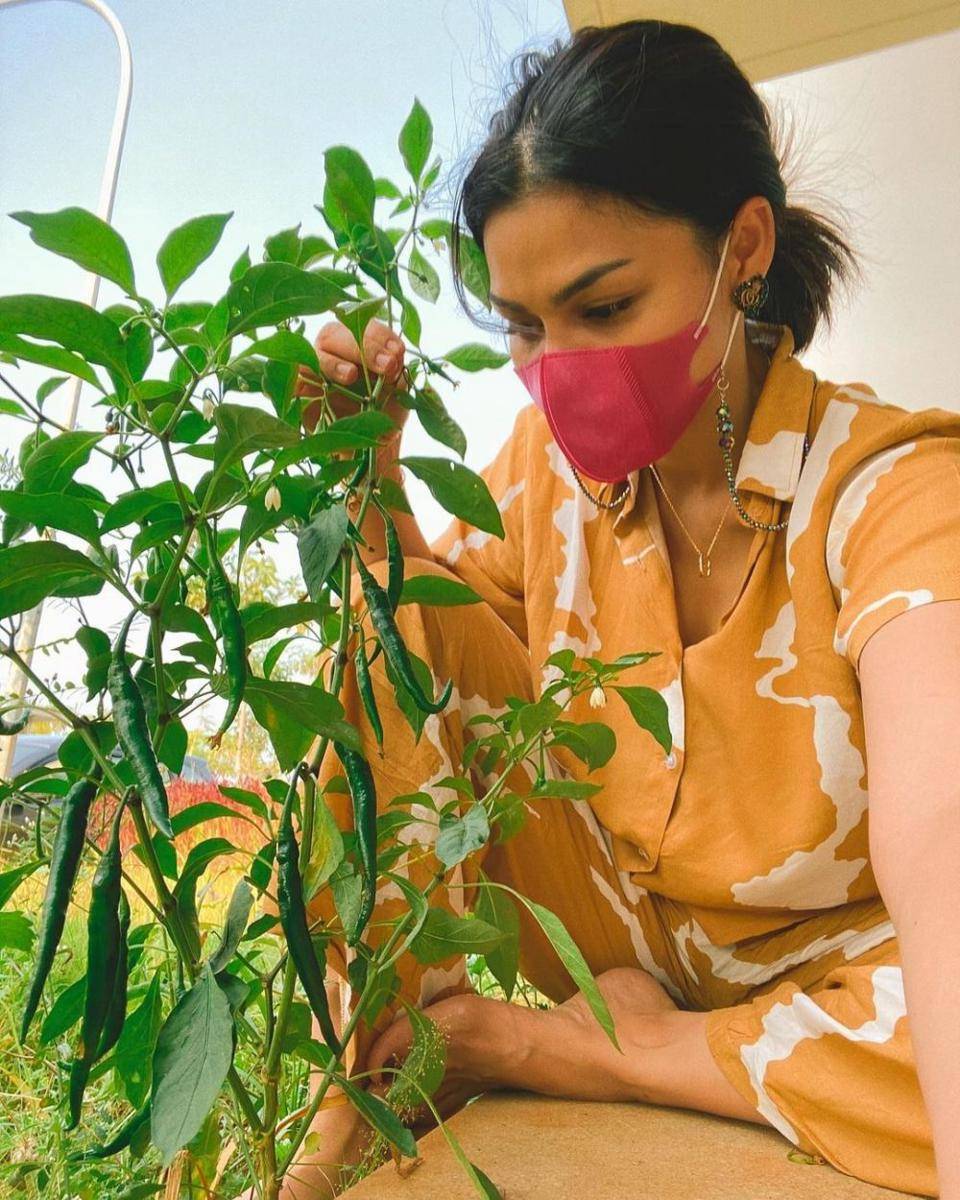 Dj Katty Butterfly (instagram.com/dj_kattybutterfly36)