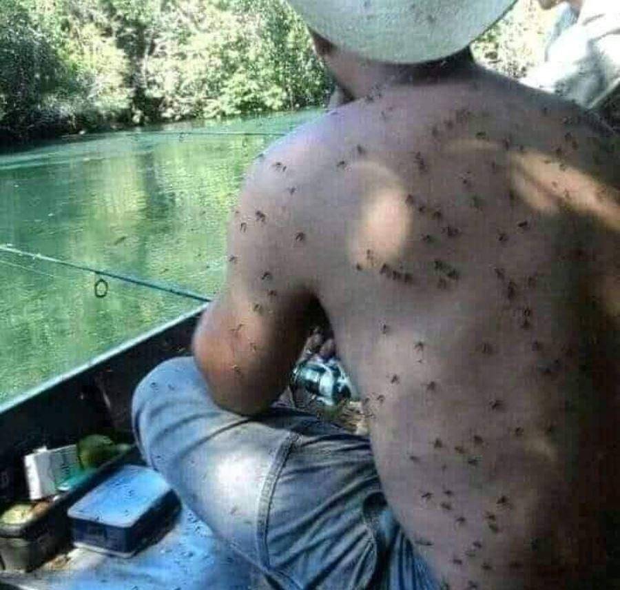 bapak-bapak apes (instagram.com/receh.id)