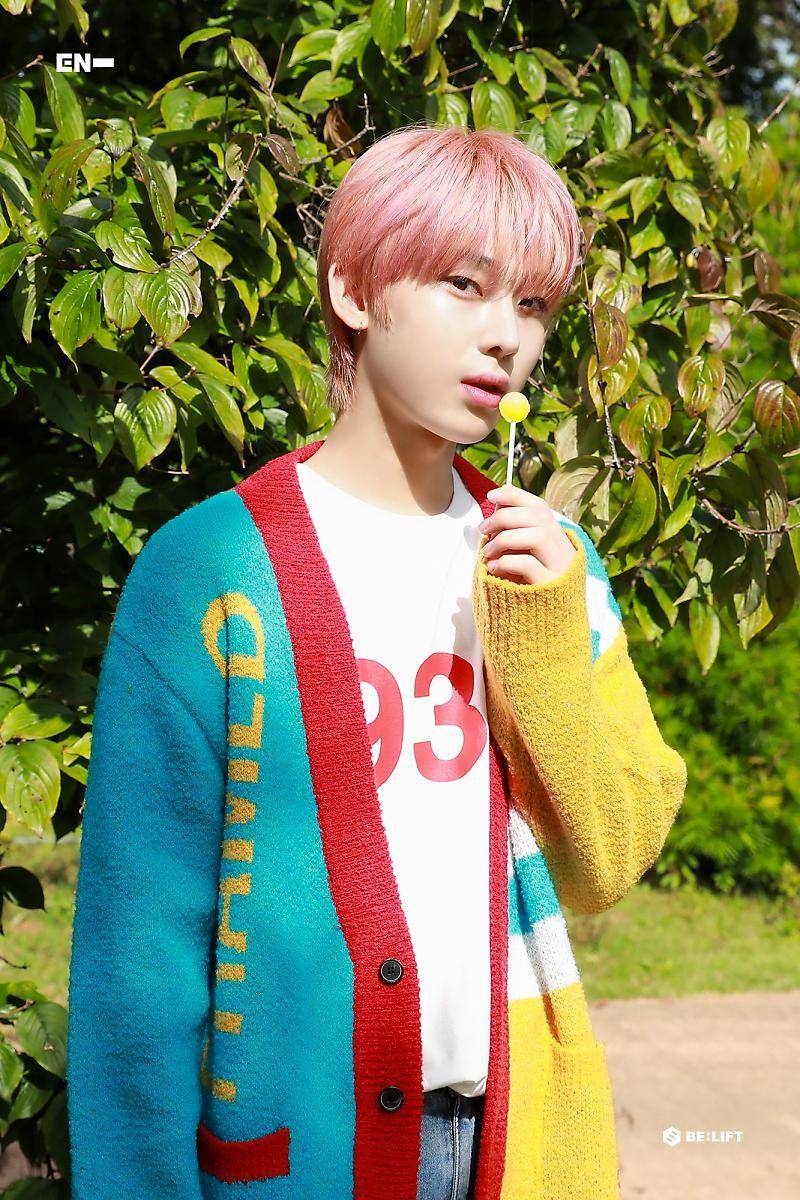 colorfull outfit ala ENHYPEN (m.post.naver.com/ENHYPEN)