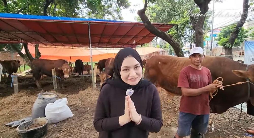 Momen Nathalie Holscher cari sapi kurban. (youtube.com/NATHALIE HOLSCHER)