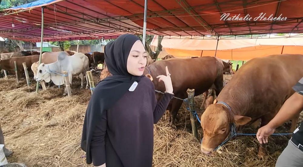 Momen Nathalie Holscher cari sapi kurban. (youtube.com/NATHALIE HOLSCHER)