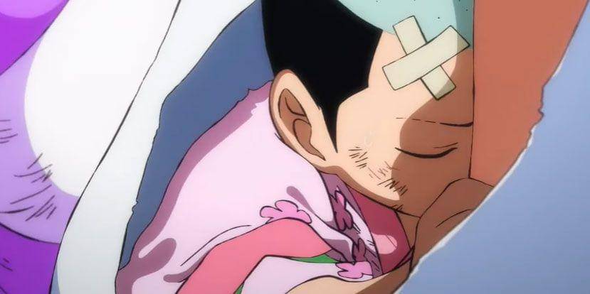 toei animation/One Piece