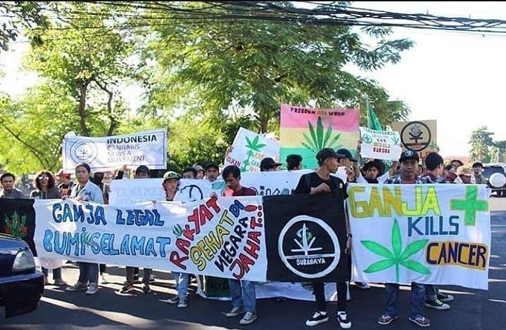 Komunitas LGN Sebut Legalisasi Ganja Medis Mendesak