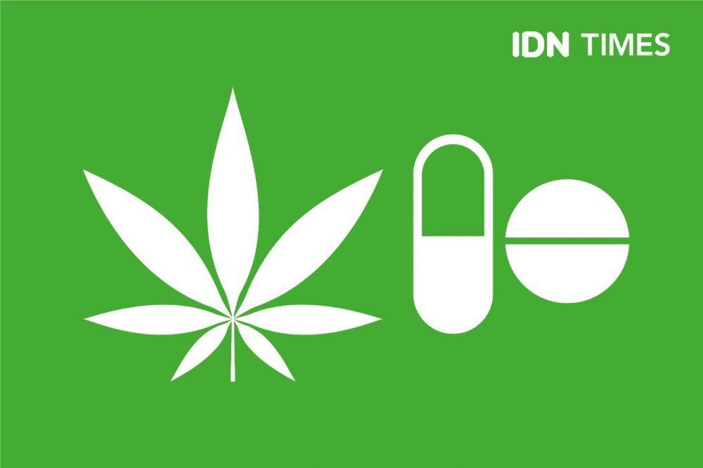 ilustrasi ganja medis (IDN Times/Nathan Manaloe)