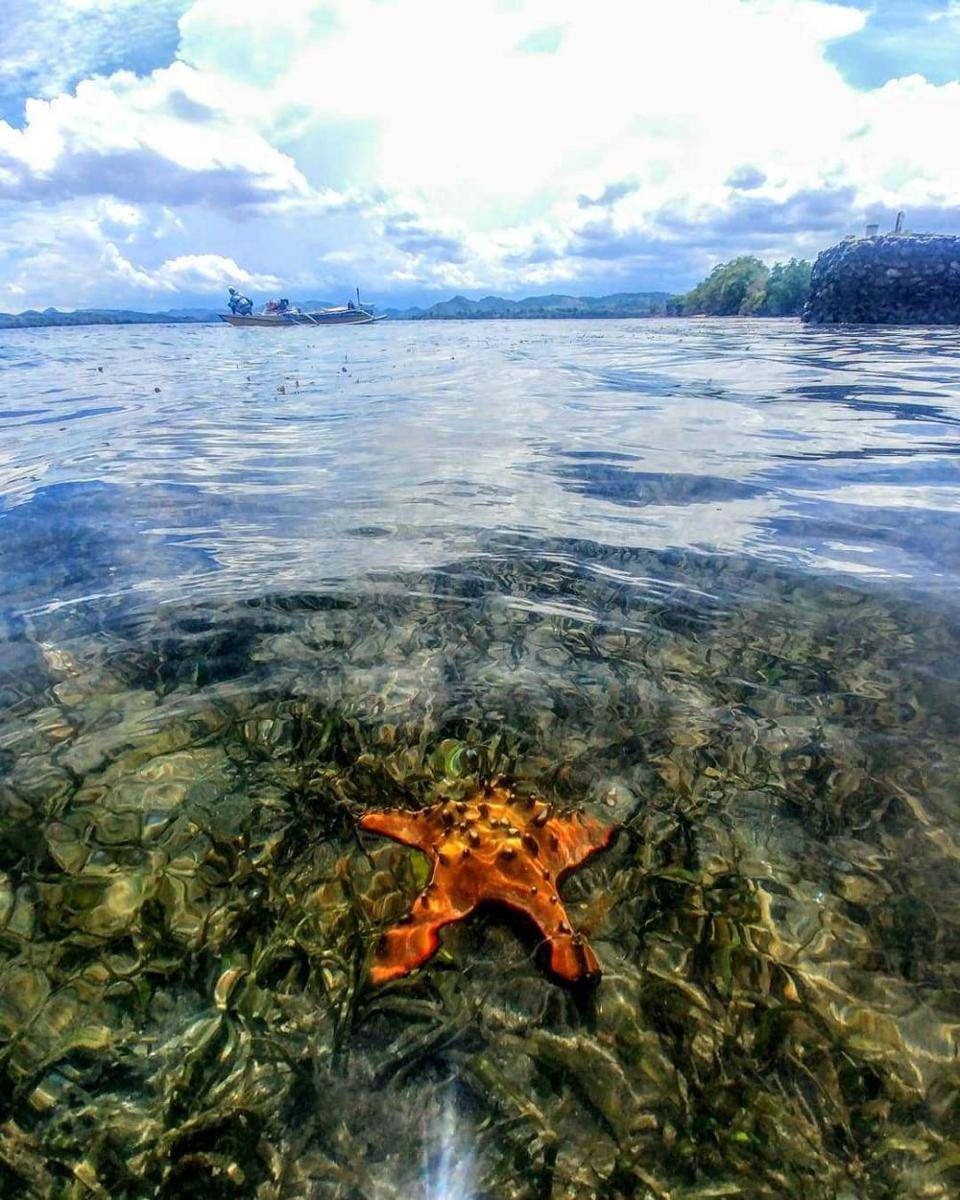 Pulau Dangar Ode (Instagram.com/riruislamy)