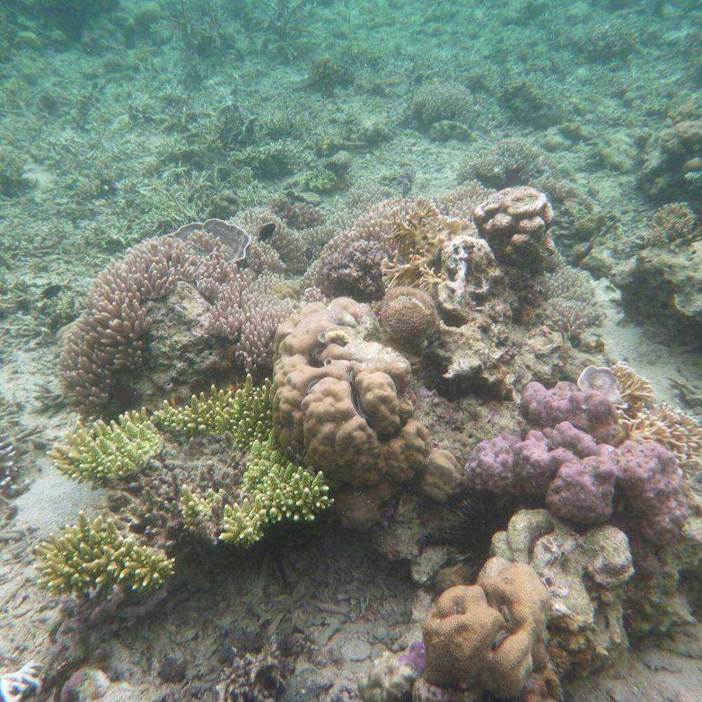 Pulau Dangar Ode (instagram.com/dwiki_riwa)