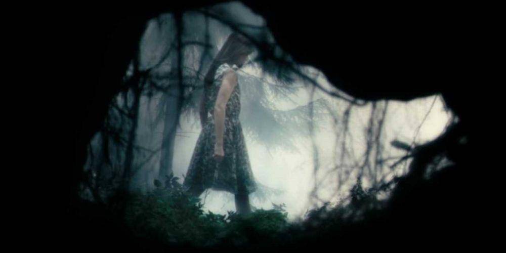 cuplikan film Antichrist (mubi.com/films/antichrist)