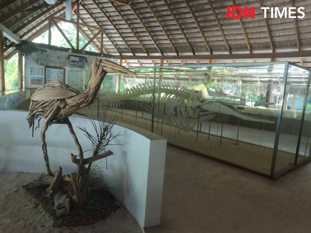 Potret Kuramathi Resort Maldives (IDN Times/M. Tarmizi Murdianto)
