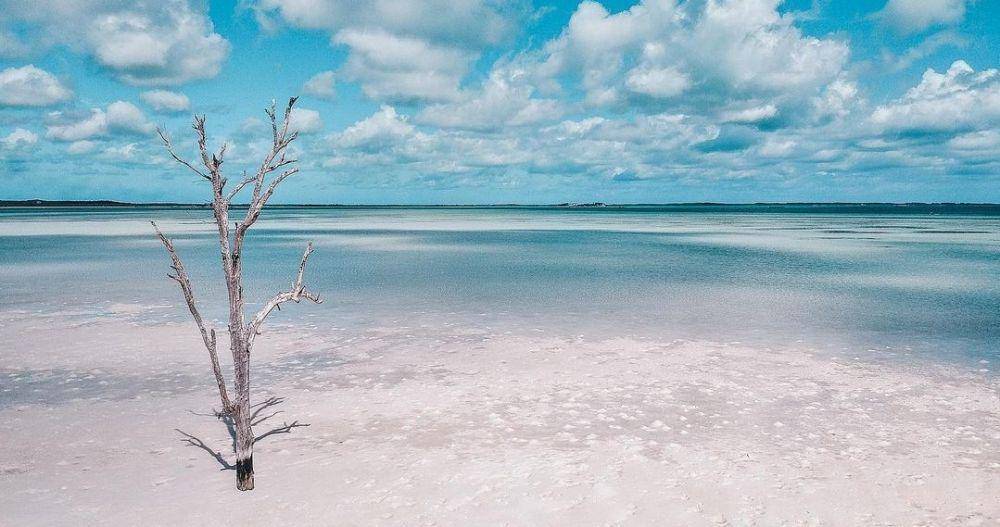 Harbour Island (instagram.com/harbourislandbahamas)