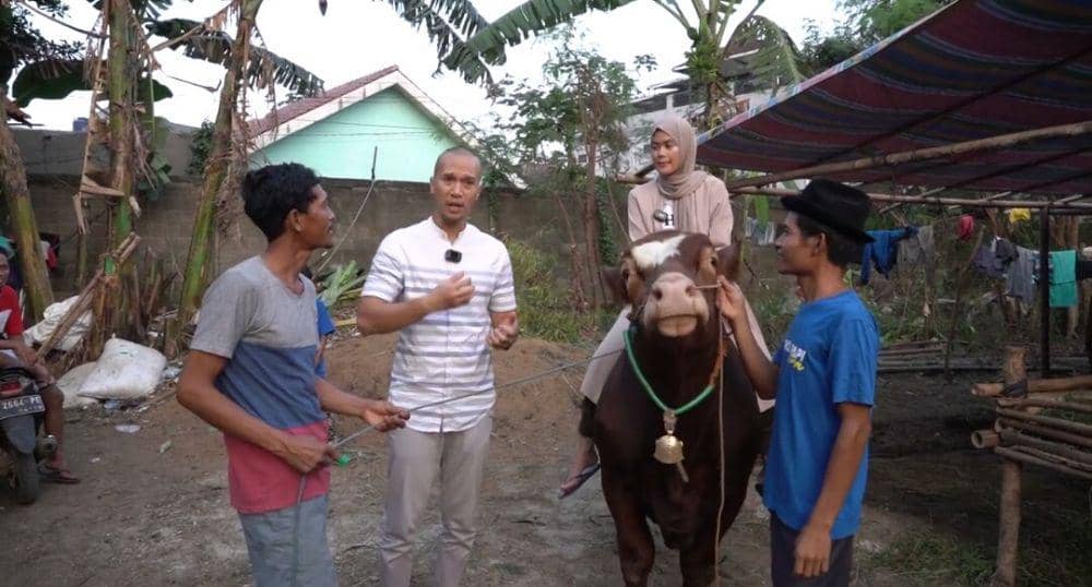 potret sapi kurban Bima Aryo (youtube.com/The Golden Family)