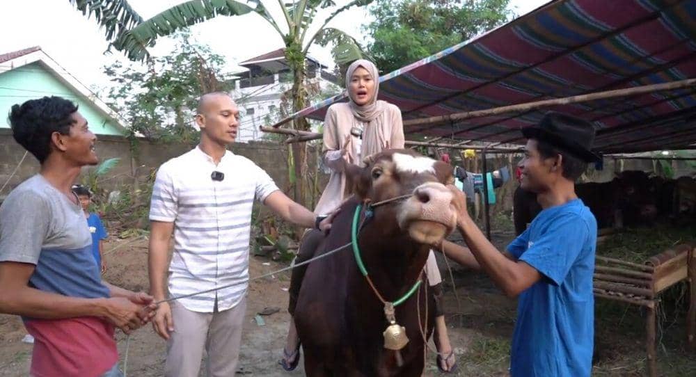 potret sapi kurban Bima Aryo (youtube.com/The Golden Family)