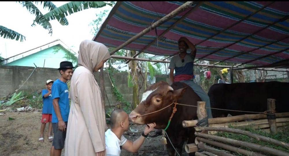 potret sapi kurban Bima Aryo (youtube.com/The Golden Family)