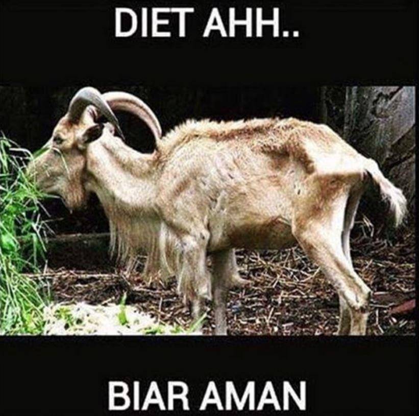 meme hewan kurban nyamar (instagram.com/vitaminshit)