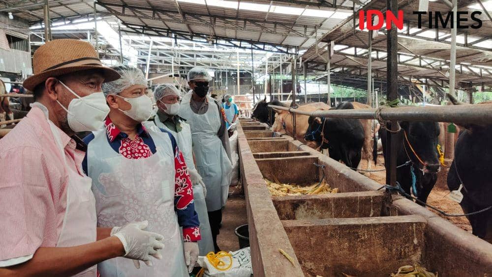 Sekda Kota Depok, Supian Suri saat meninjau RPH Kecamatan Tapos mengantisipasi penularan PMK di Kota Depok. (IDNTimes/Dicky)