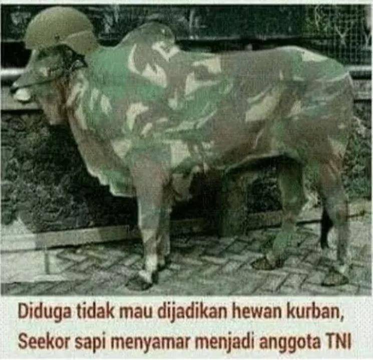 meme hewan kurban nyamar (instagram.com/ruang.dagelan)