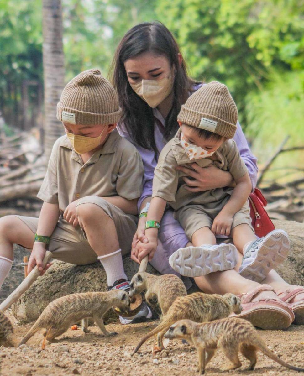 Potret kegiatan memberi makan satwa di Bali Zoo (instagram.com/balizoo)