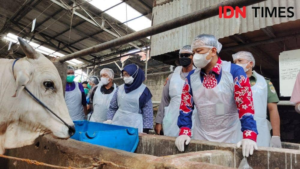 Satgas PMK Depok Sidak RPH-Lapak Pedagang, Ratusan Hewan Bergejala