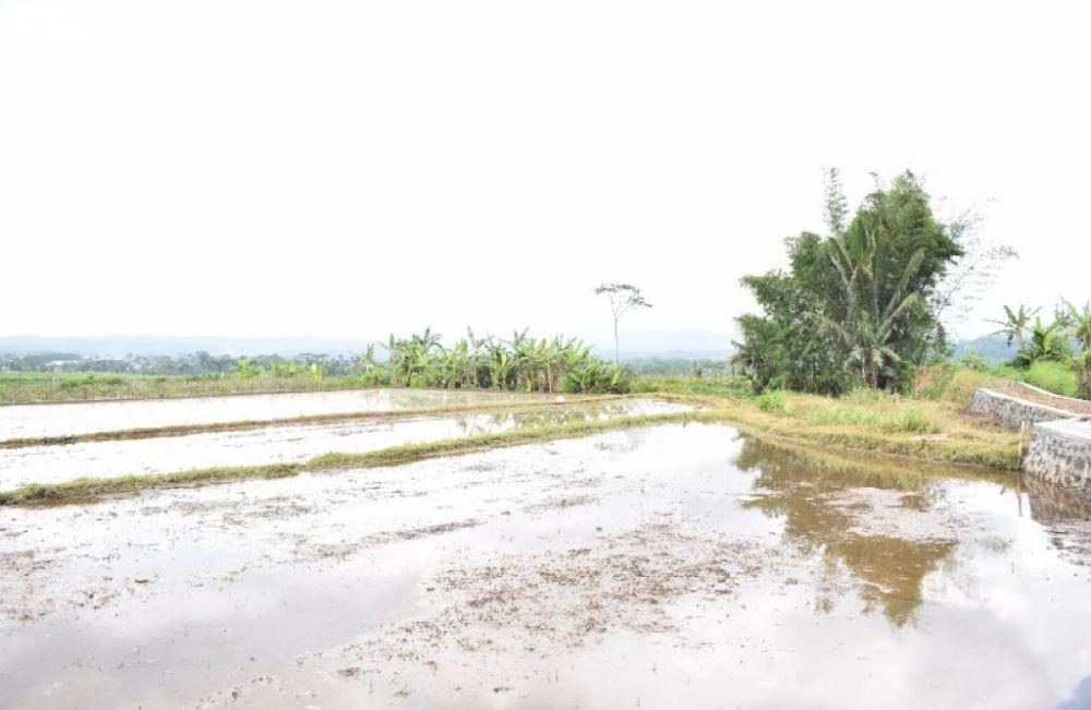 Salah satu program Kementerian Pertanian (Kementan) dalam menghadapi perubahan iklim adalah Rehabilitasi Jaringan Irigasi Tersier (RJIT). (Dok. Kementan)