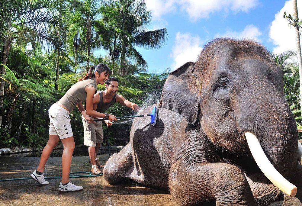 Potret Mason Elephant Park and Lodge (instagram.com/masonadventuresbali)