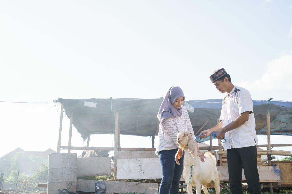 PMK Bukan Halangan untuk Berkurban, Perhatikan 5 Hal Ini Ya!